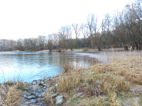 Fewo Koeln Rodenkirchen